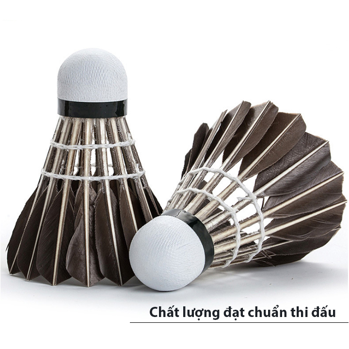HỘP 12 QUẢ CẦU LÔNG ĐEN CL12