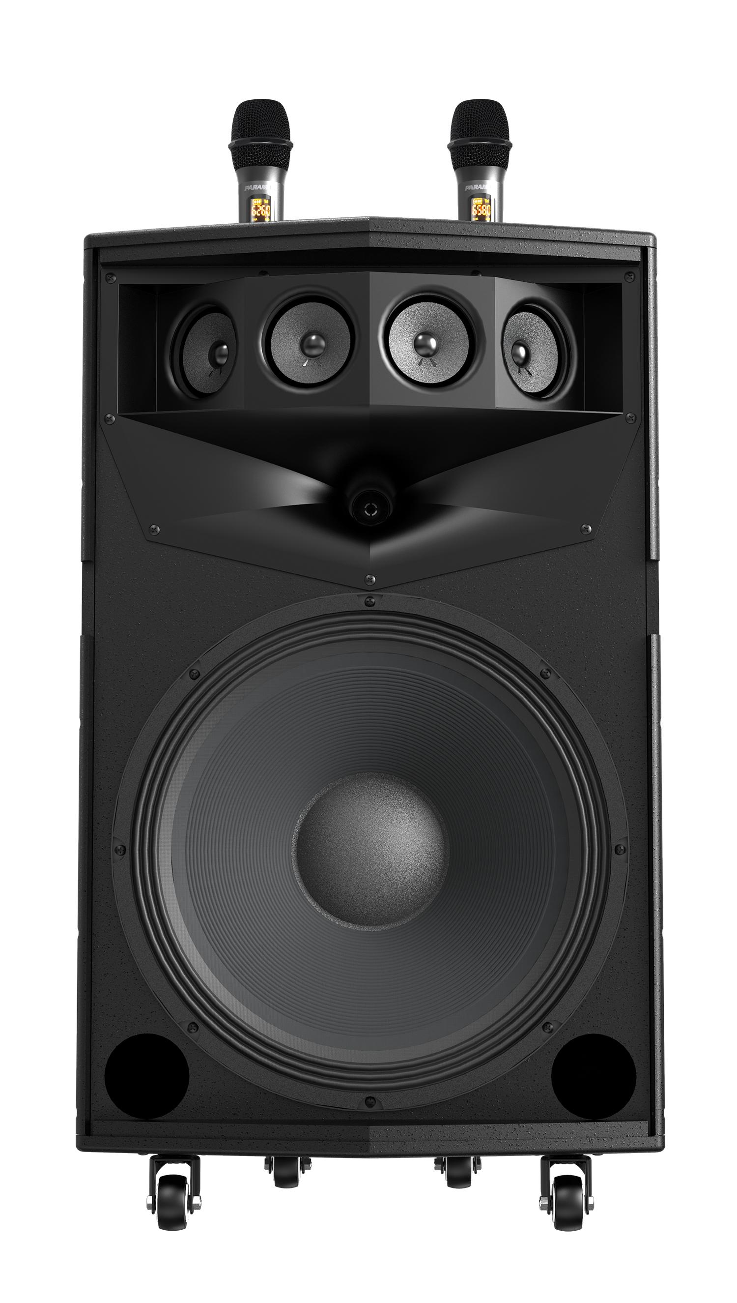 Loa kéo di động Paramax GO-300S
