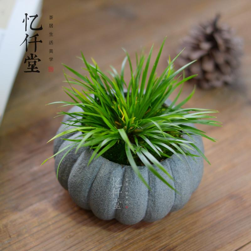 Yiqiantang Calamus Selaginella Micro Bồn Cảnh Phục Cổ Bình Thủy Sinh Nhiều Thịt Chậu Hoa Thoáng Khí Cá Tính Thủ Công Ngón Tay Cái Nồi