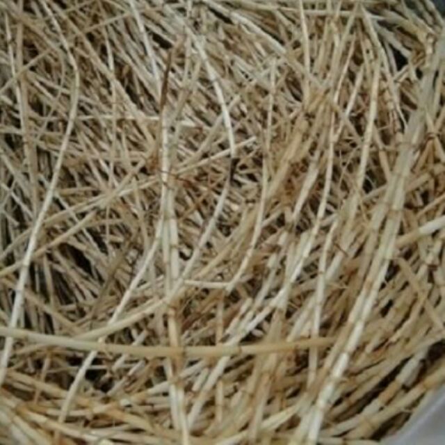 Rễ cỏ tranh 1kg