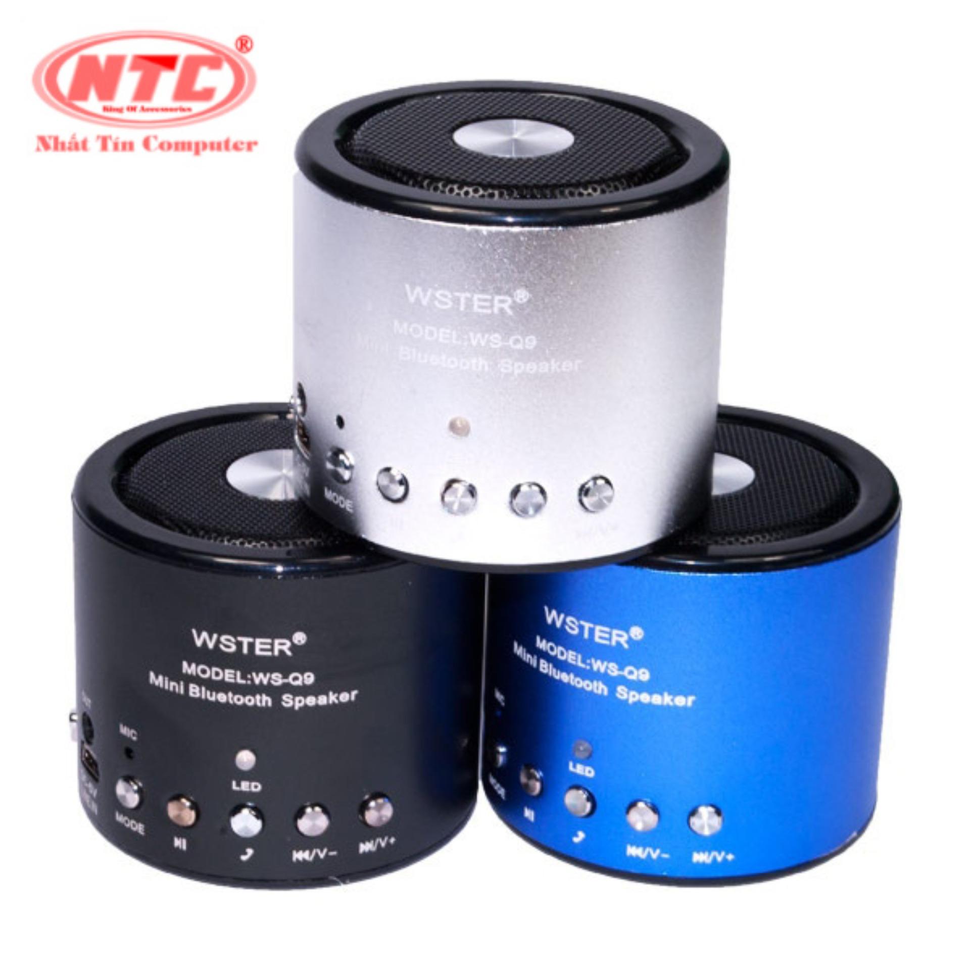 Loa Bluetooth Wster WS-Q9