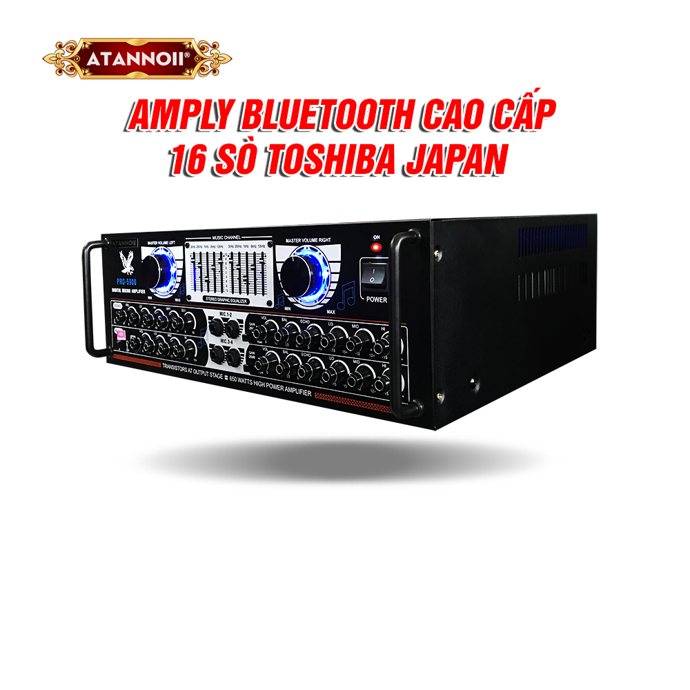Amply ATANNOII PRO-5900