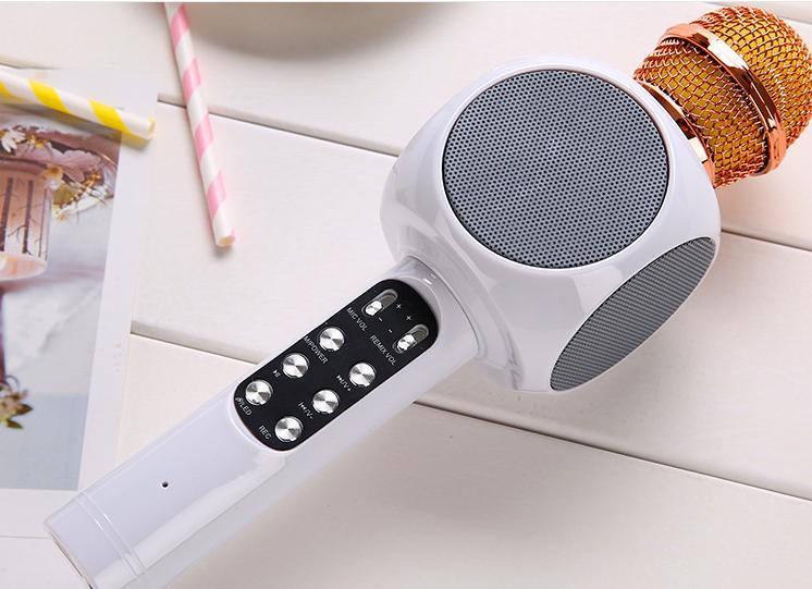 Microphone karaoke kèm loa WS-1816