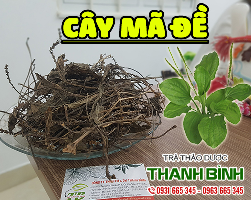 Cây mã đề khô 1kg