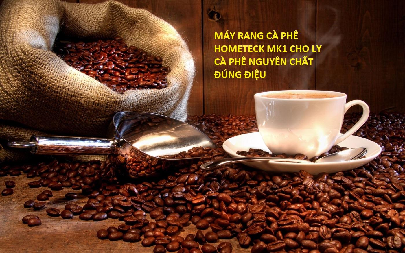 Máy rang cà phê Hometeck 2019