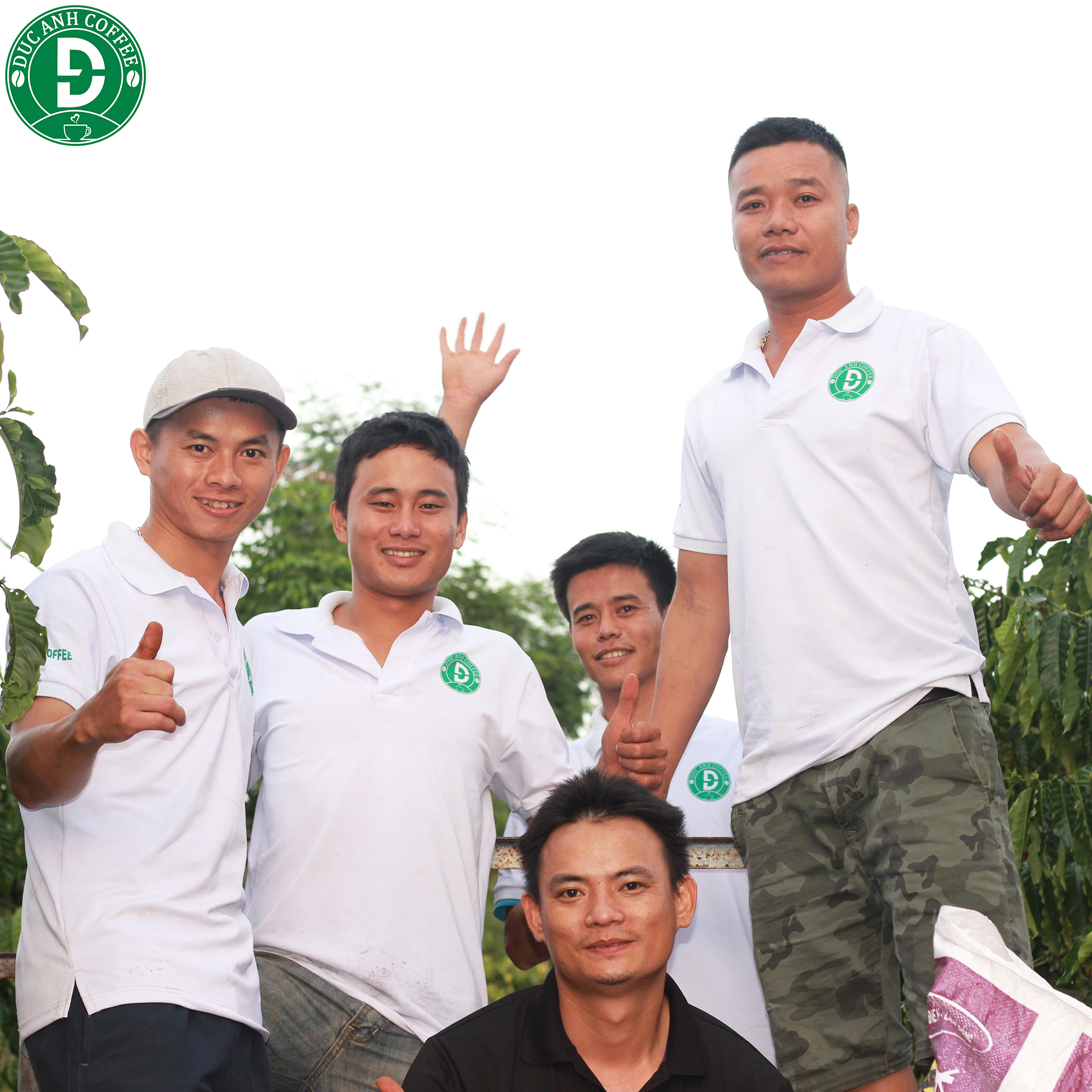 Cà phê nhân sống 5kg