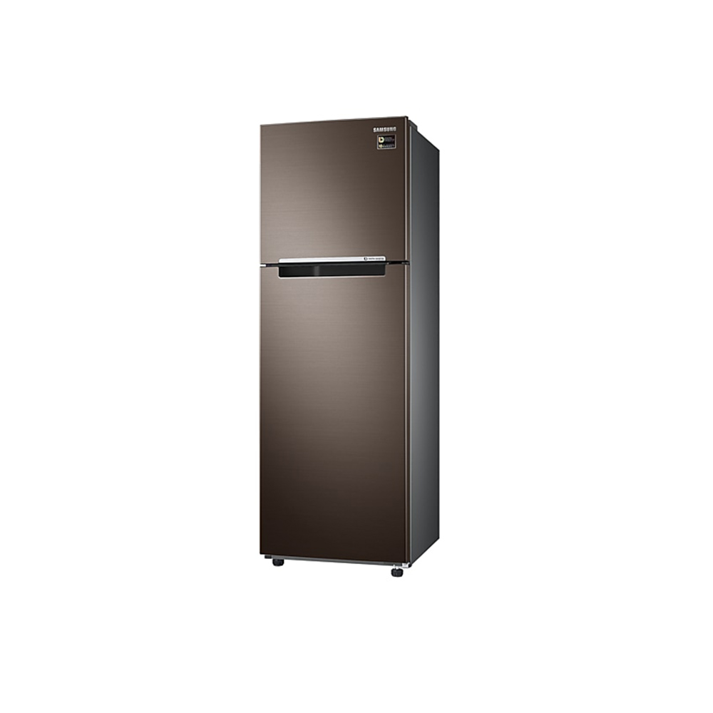Tủ lạnh Samsung RT25M4032DX/SV - 256 lít, Inverter
