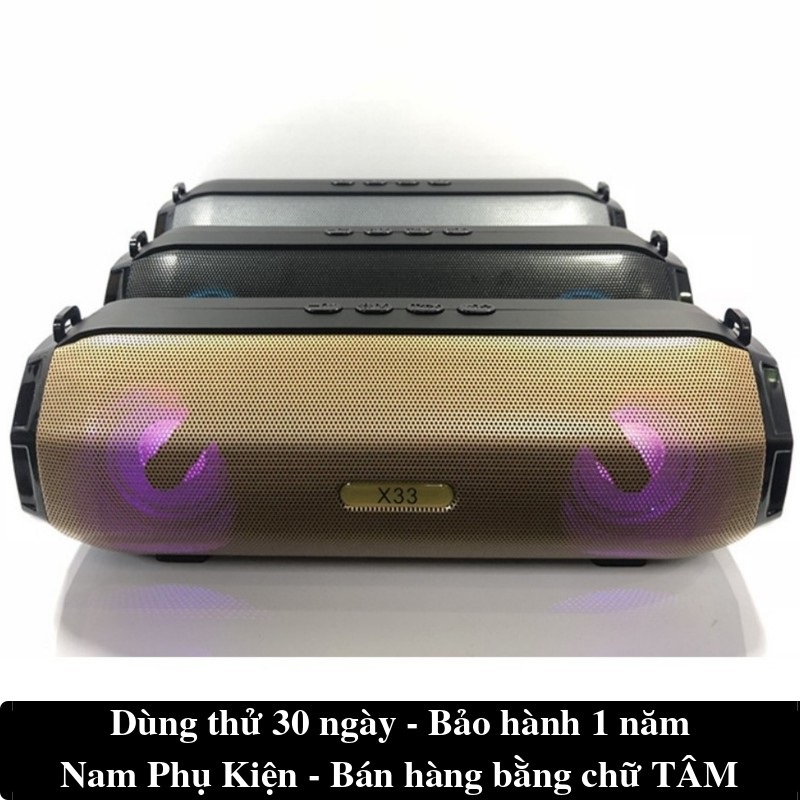 Loa Sony SRS-X33