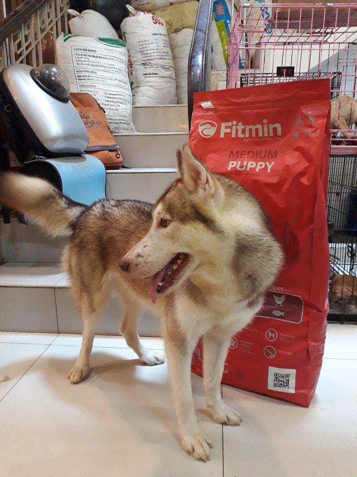 Thức ăn cho chó Fitmin Medium Puppy - 15kg