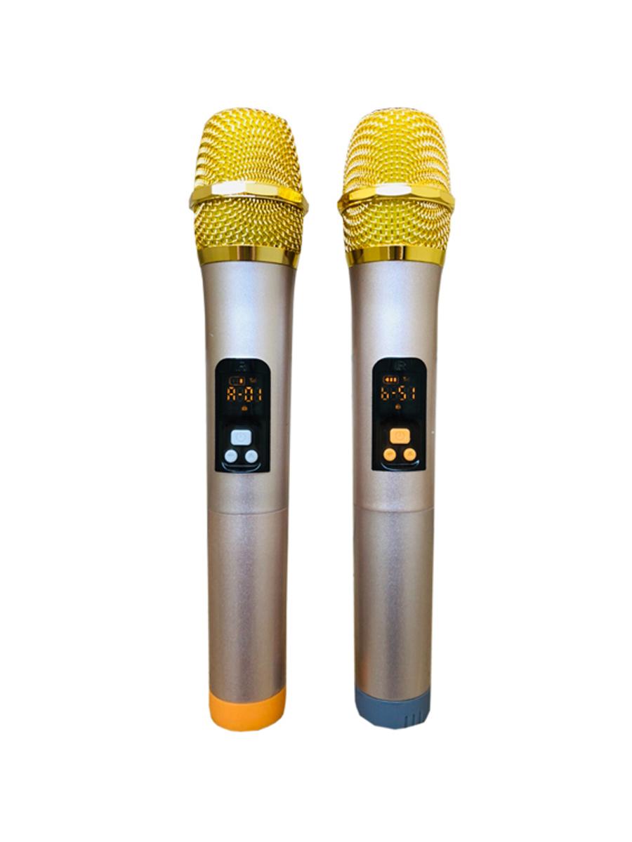 Loa Kéo Di Động Ronamax Mh15