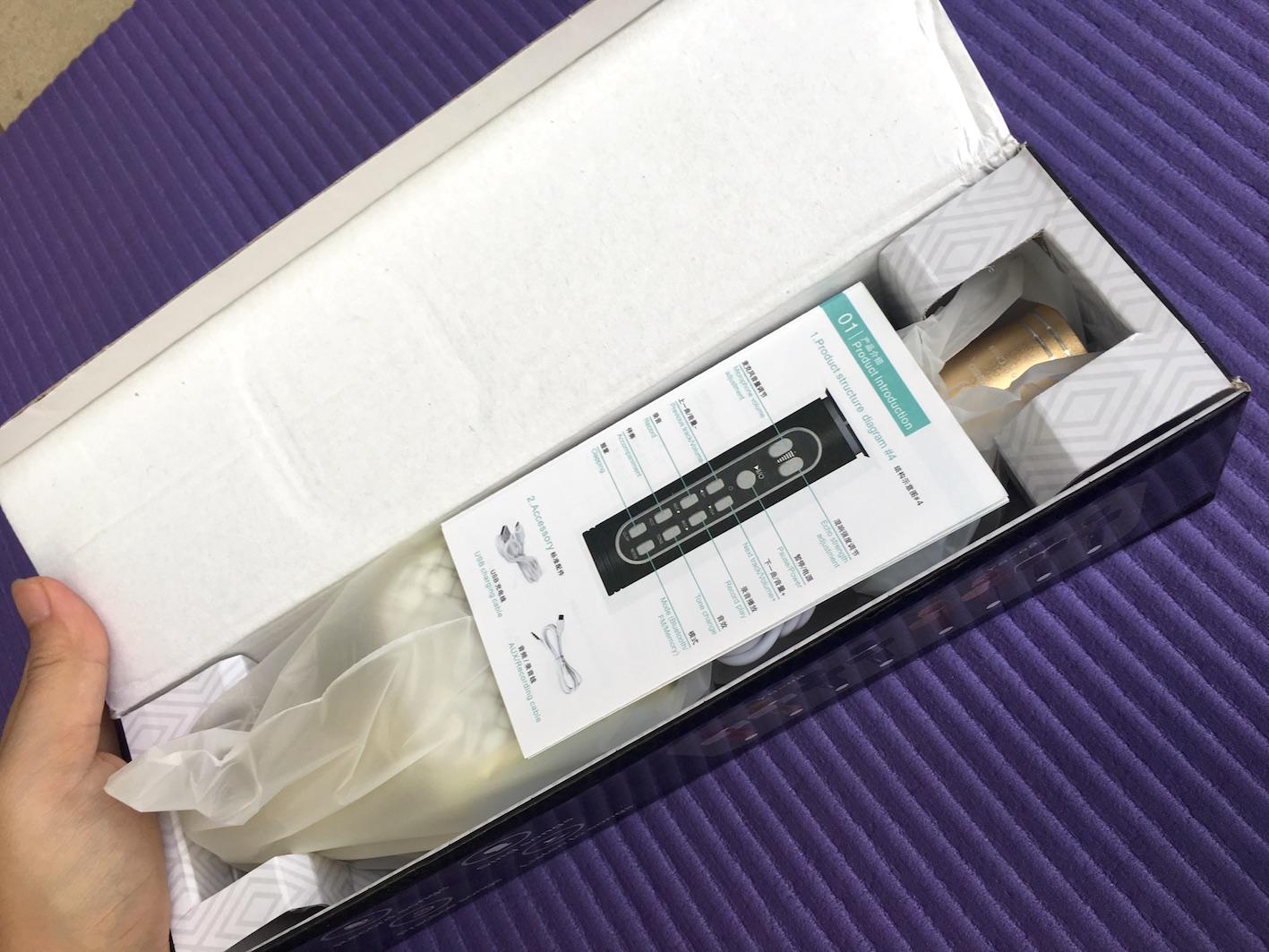 MICRO KARAOKE YS69