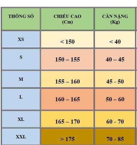 Áo Thun Nữ Phom Rộng Phối Màu T&D D26