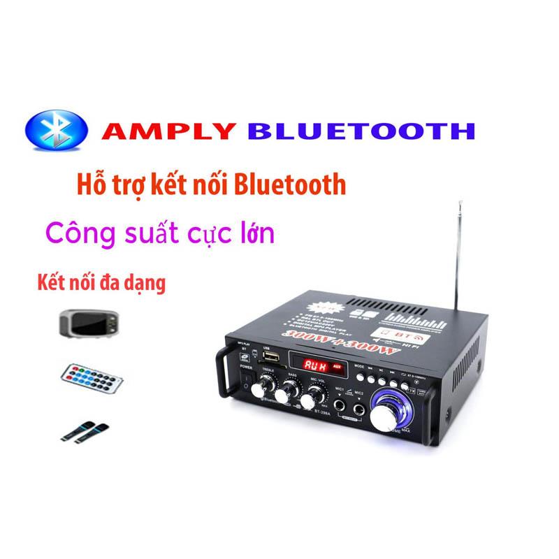 Amply Karaoke Bluetooth Mini Tely BIJ253