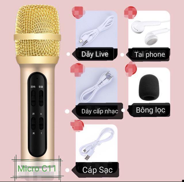 Micro thu âm C11