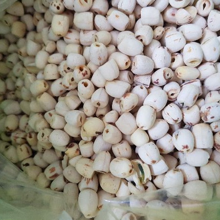 Hạt Sen Khô 1kg