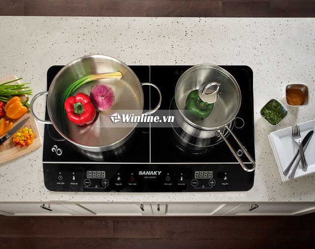 Bếp từ Sanaky SNK-22WBT đôi