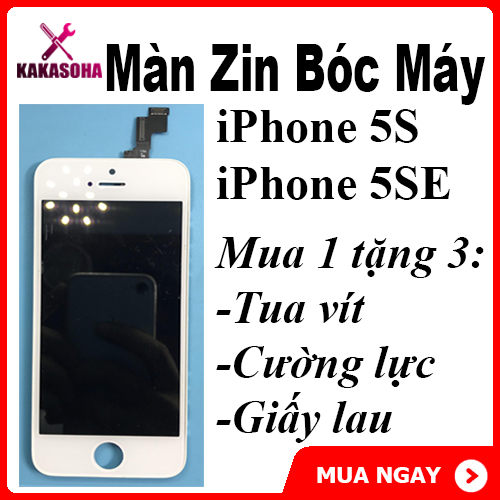 Màn hình iphone 5s