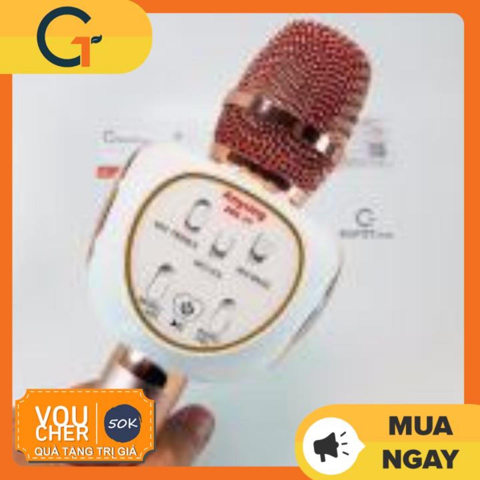 Mic kèm loa karaoke ZBX-69