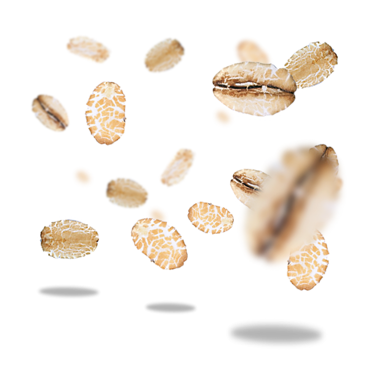 Hạt lúa mạch đen hữu cơ Sottolestelle 500g