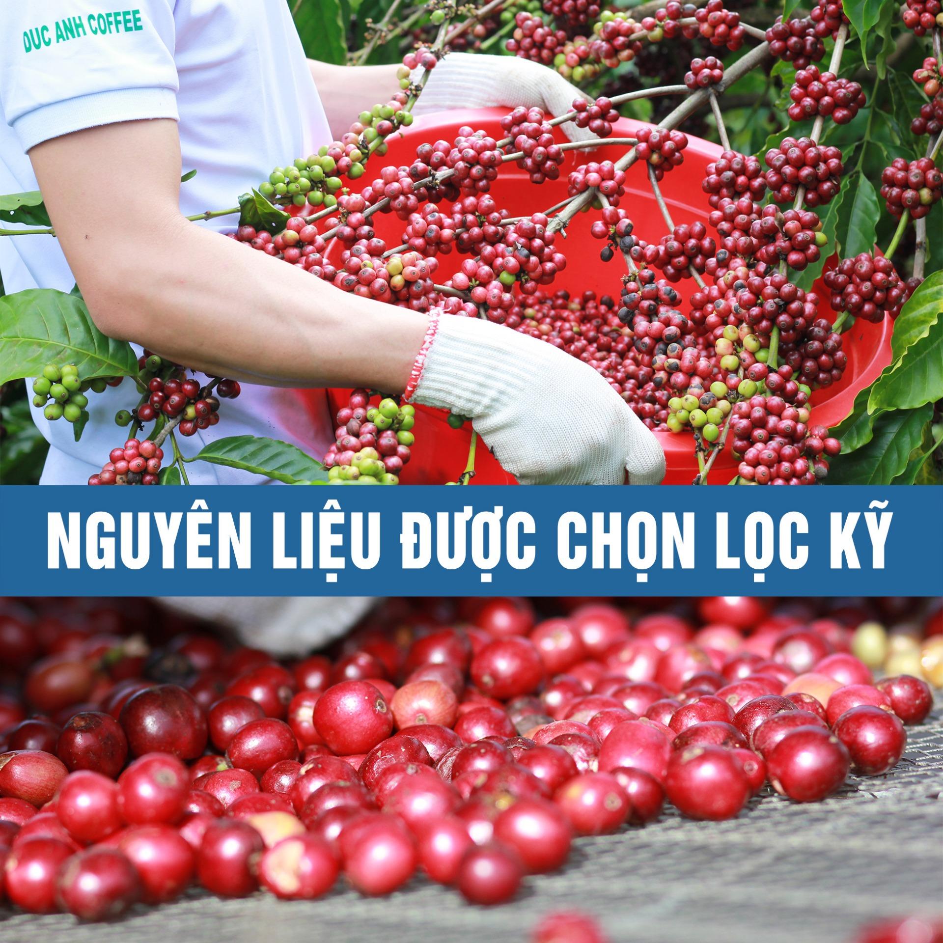 Cà Phê Đức Anh Robusta
