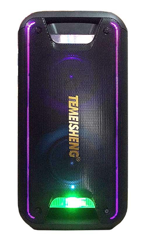 Loa Bluetooth Di Động Temeisheng TMS-502