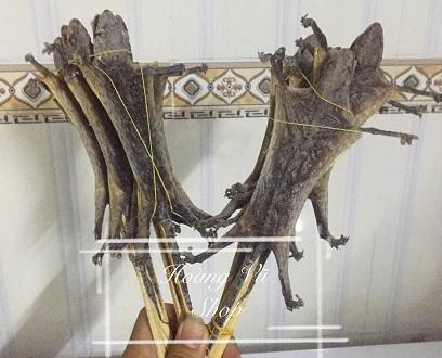 Tắc kè khô 5 con