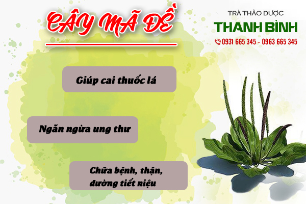 Cây mã đề khô 1kg