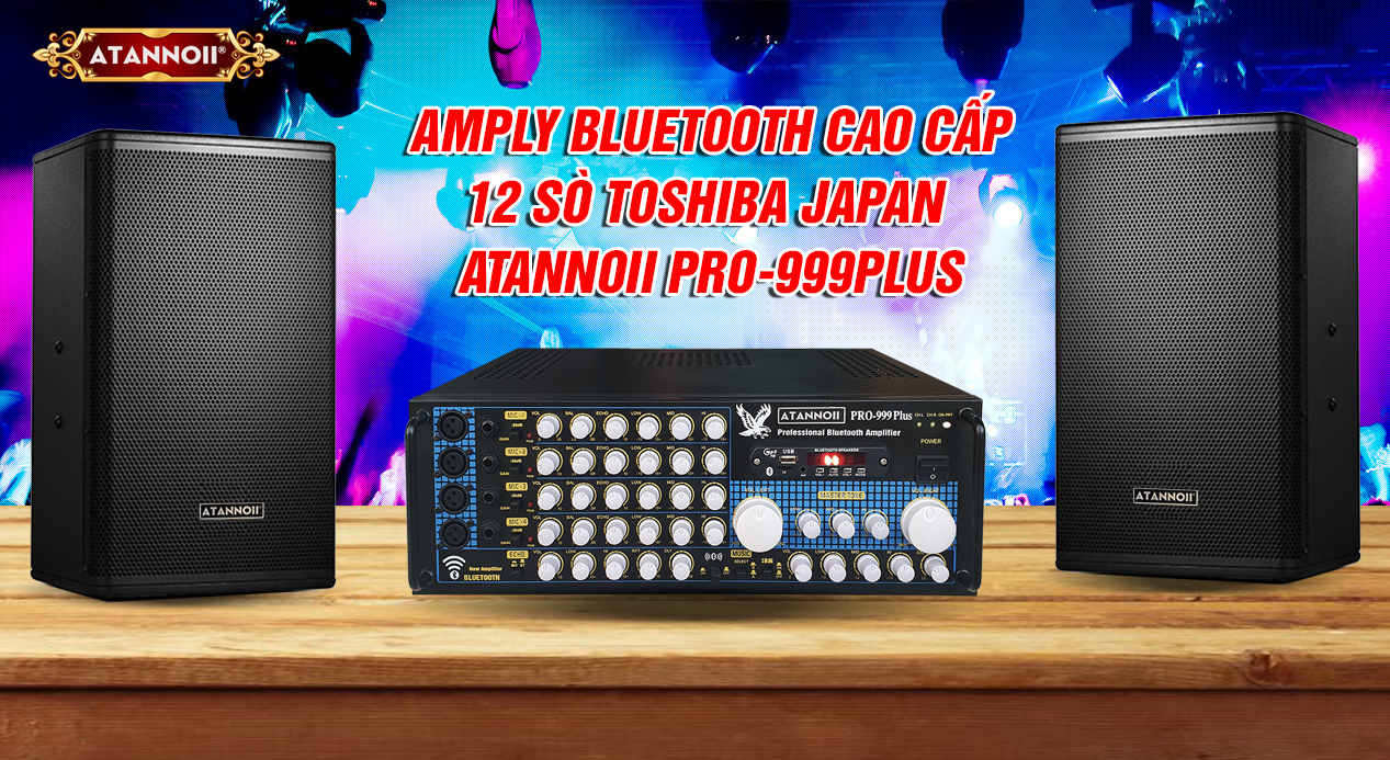 Ampli Bluetooth Amply karaoke Pioton PO-8100S