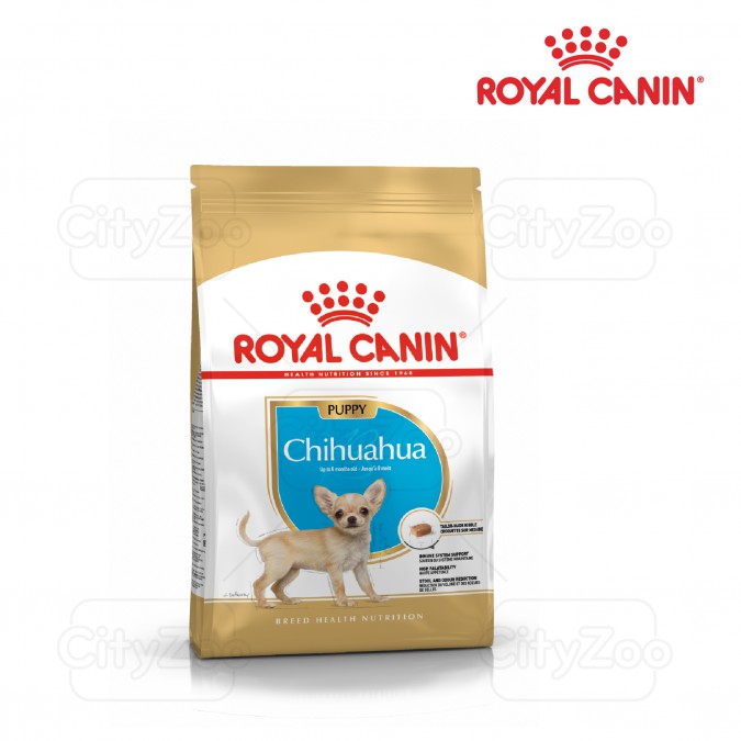 Thức ăn cho chó Royal Canin Chihuahua Junior - 500g, dành riêng cho Chihuahua từ 8 tuần - 8 tháng