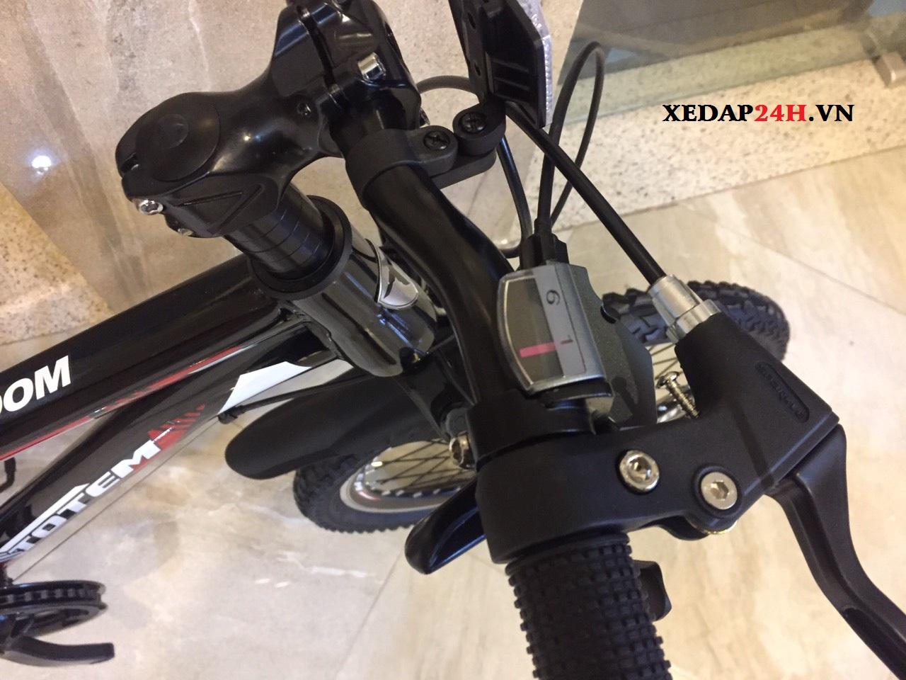 Xe đạp trẻ em Totem 719-20