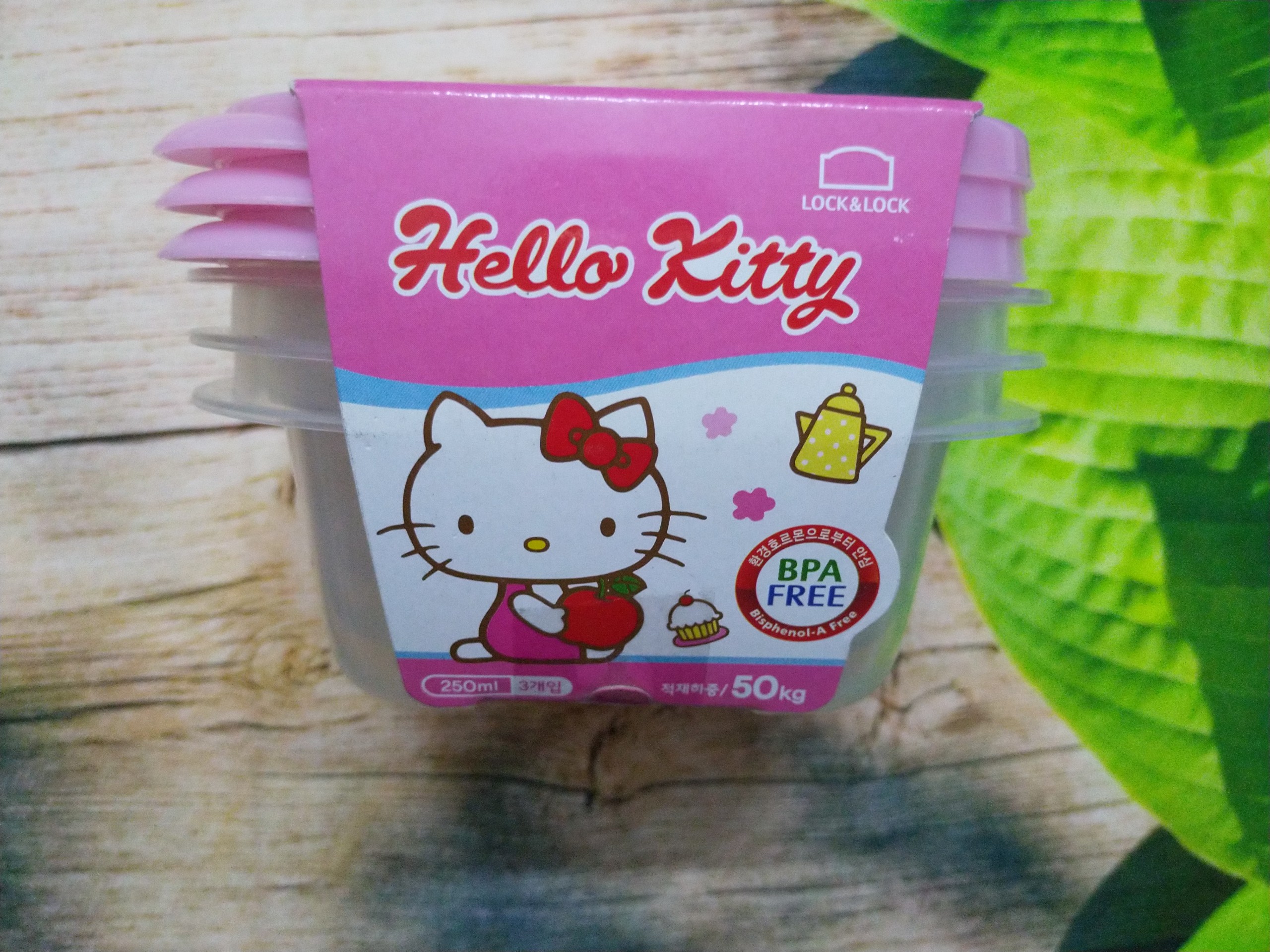 Hộp nhựa Lock&Lock 270ml
