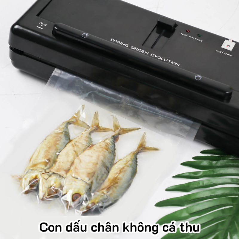 Máy hút chân không VC-LEE