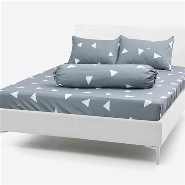 Bộ drap cotton Thắng Lợi 1,6m x 2m kèm mền chần gòn mẫu 16 - 4 MÓN