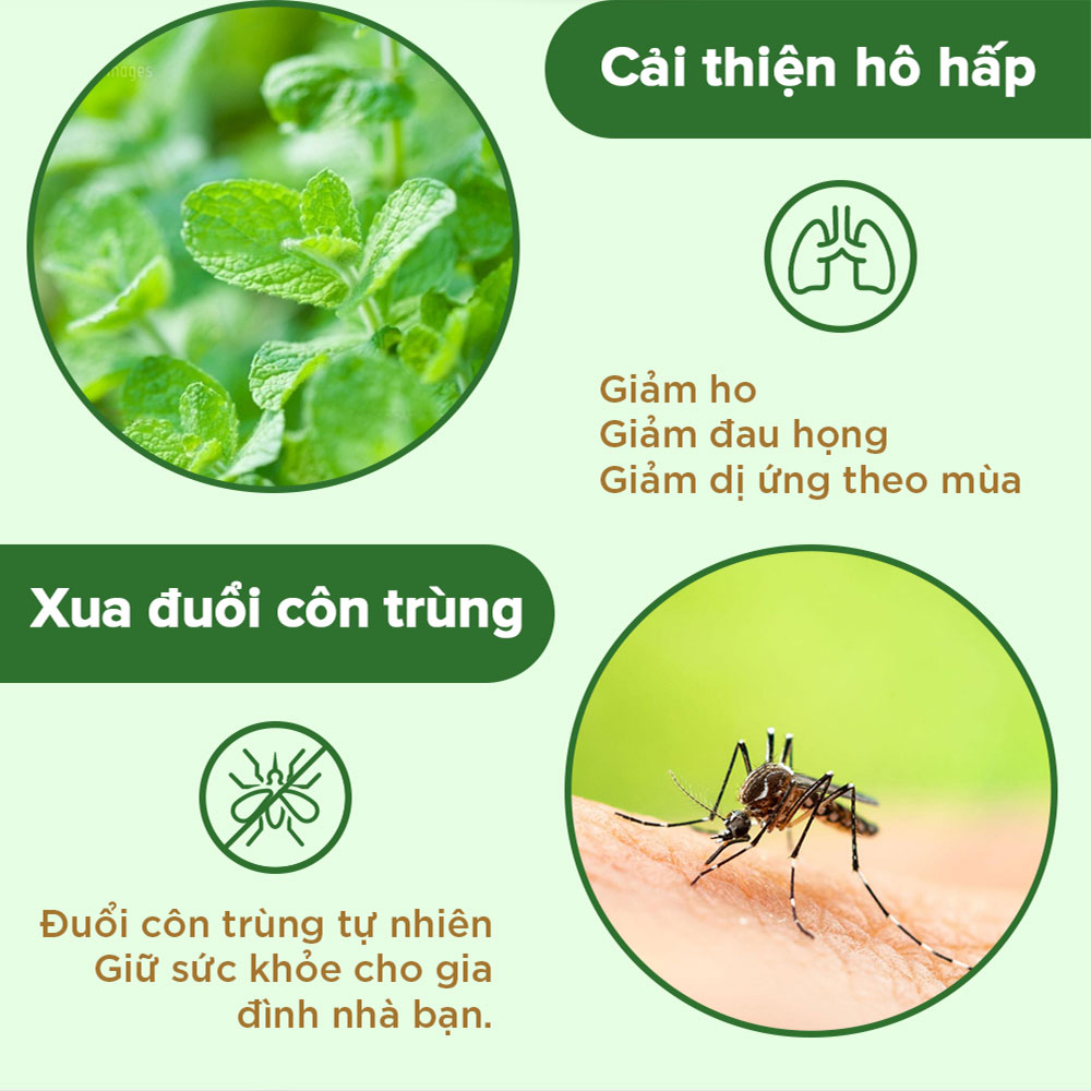 Gel rửa tay thiên nhiên