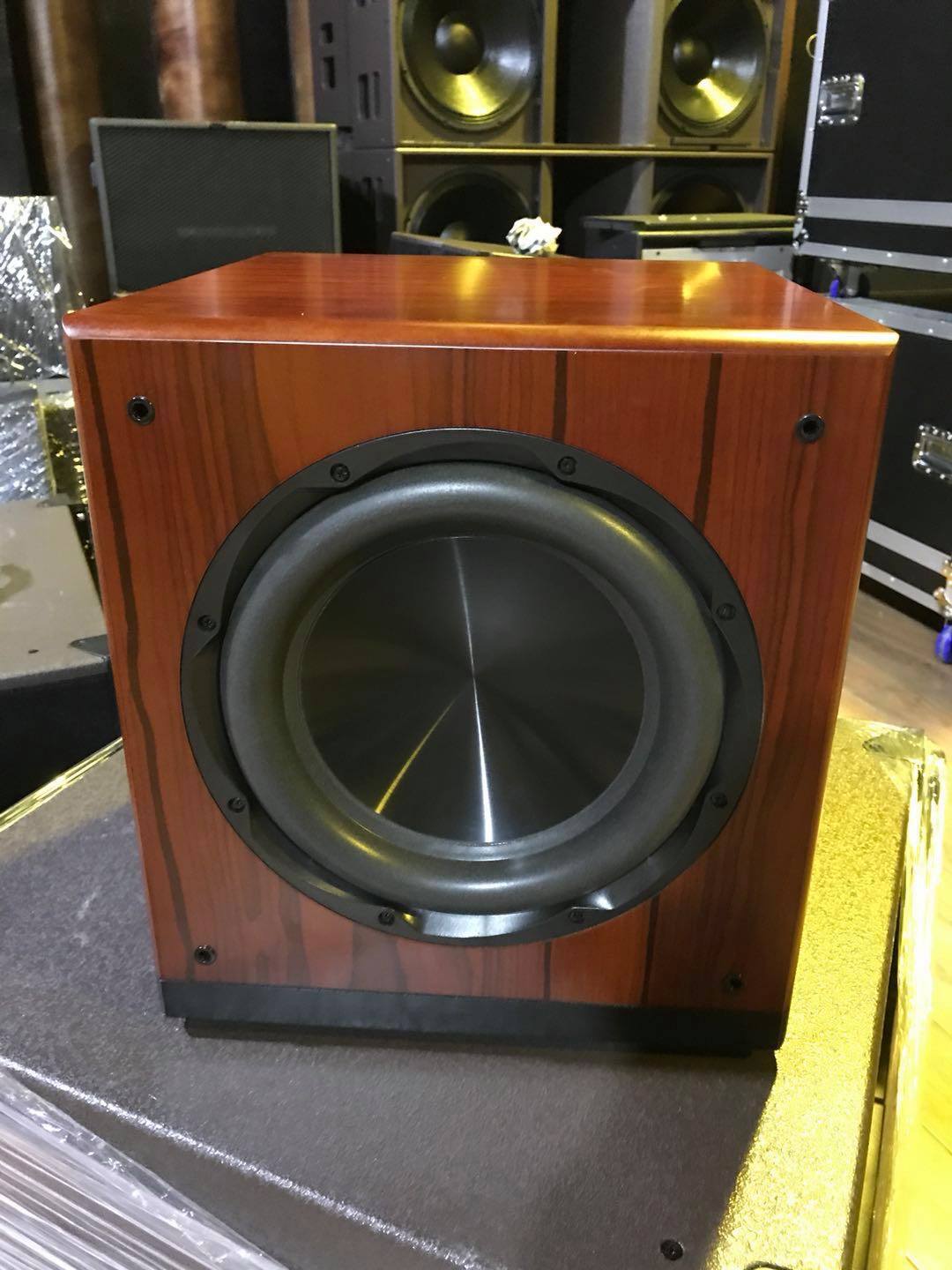 LOA SUB ĐIỆN BASS DB ACOUSTIC DB W12B