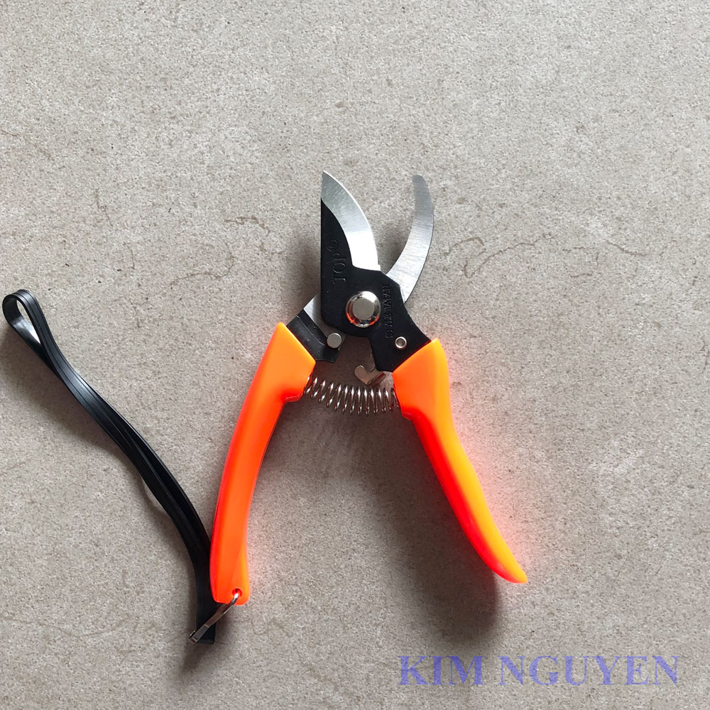 Kéo Cắt Cành Top K-700