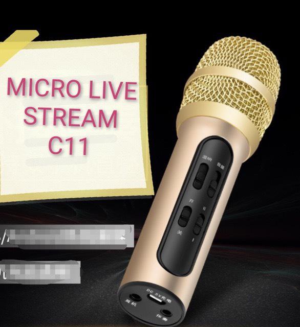 Micro thu âm C11