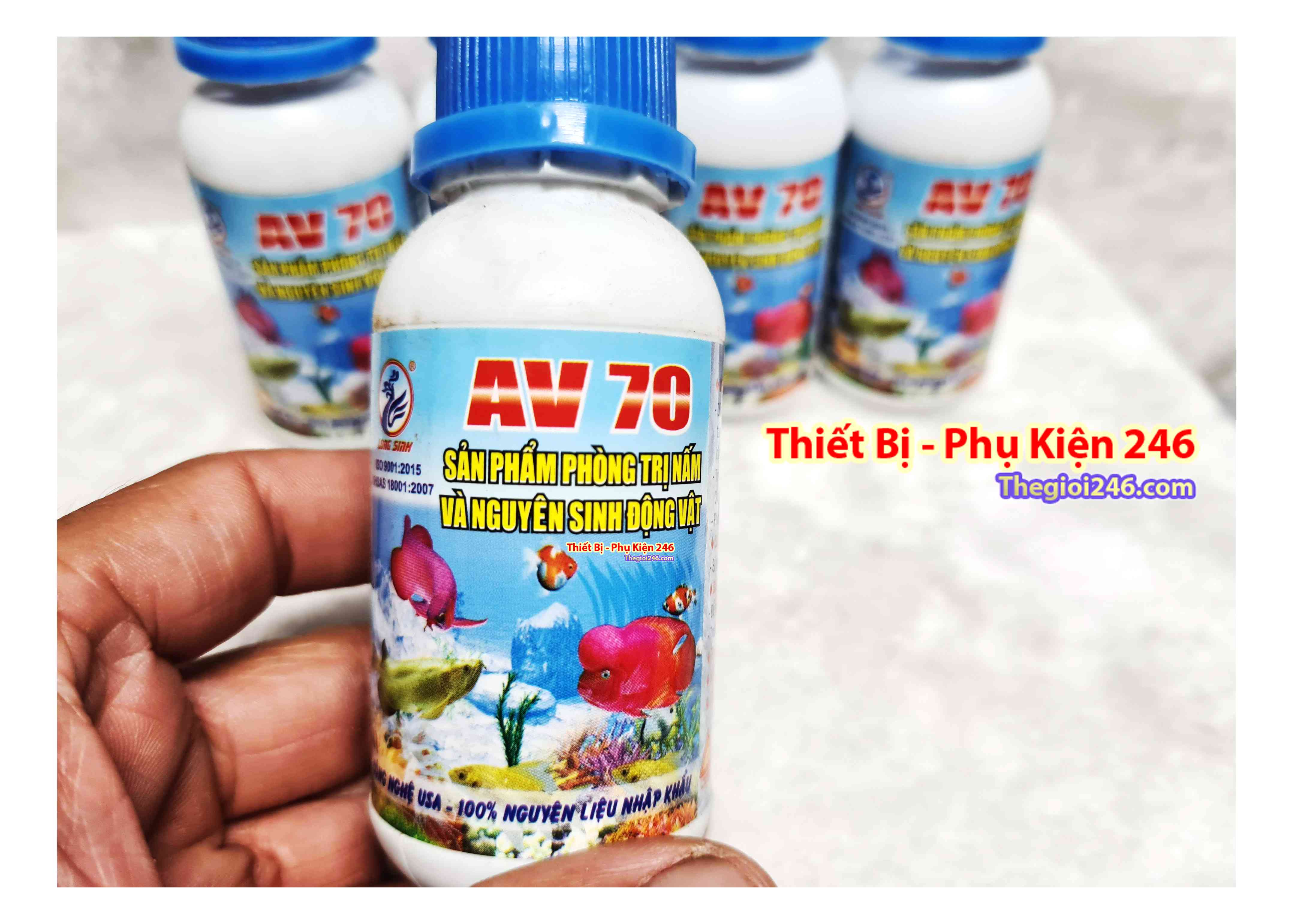 Thuốc trị nấm cá