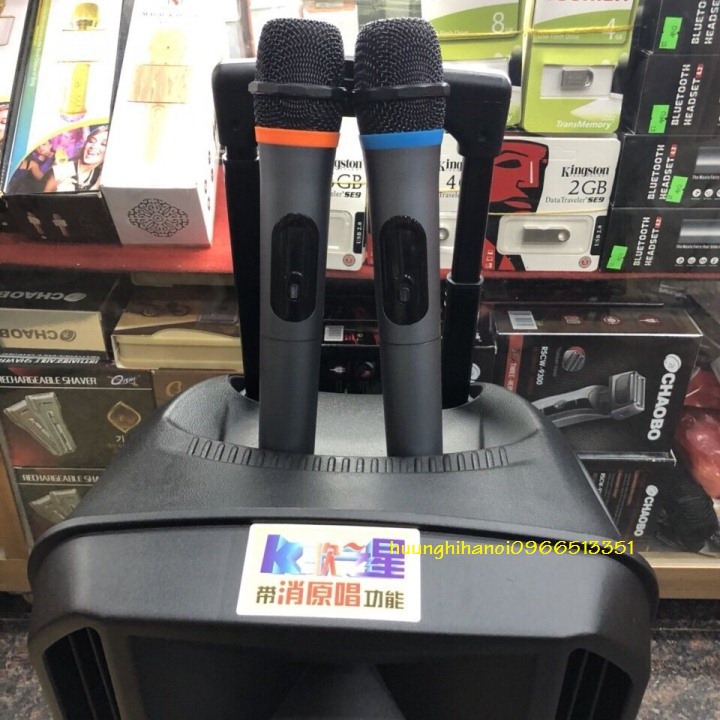 loa karaoke di động Temeisheng A12-44