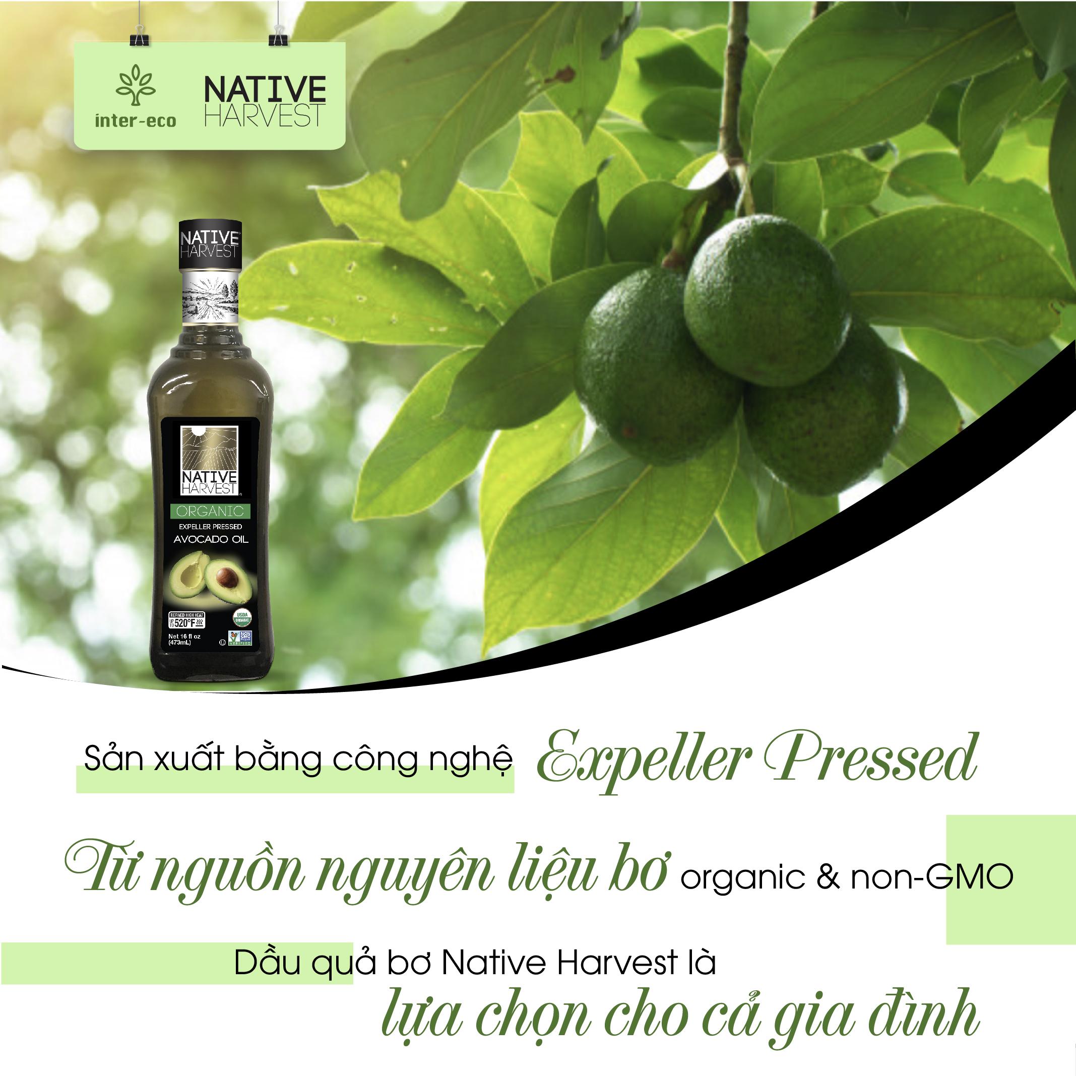 Dầu Quả Bơ Native Harvest
