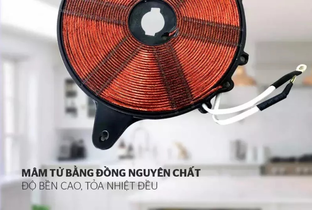Bếp từ Rapido RI2000ES