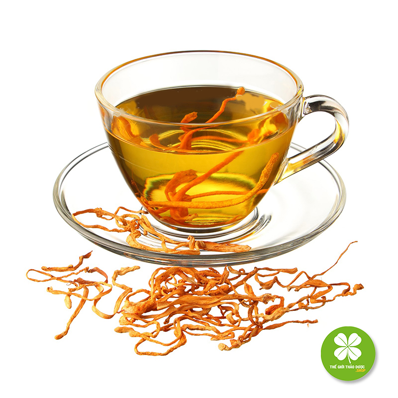 Aó thun tay dài nữ TD235