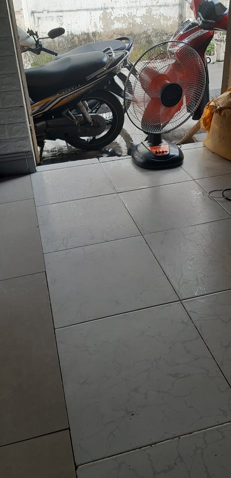 KHAY MỨT HOA MAI 5 CÁNH CÓ NHẠC