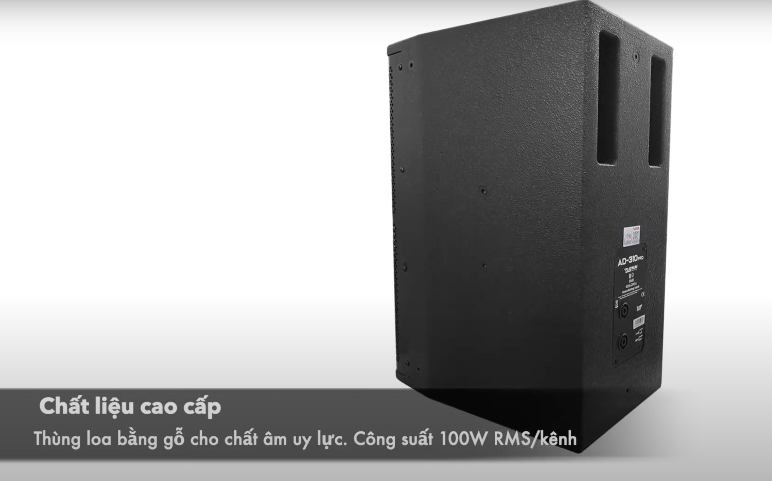 Loa Platinum AD-310 Pro