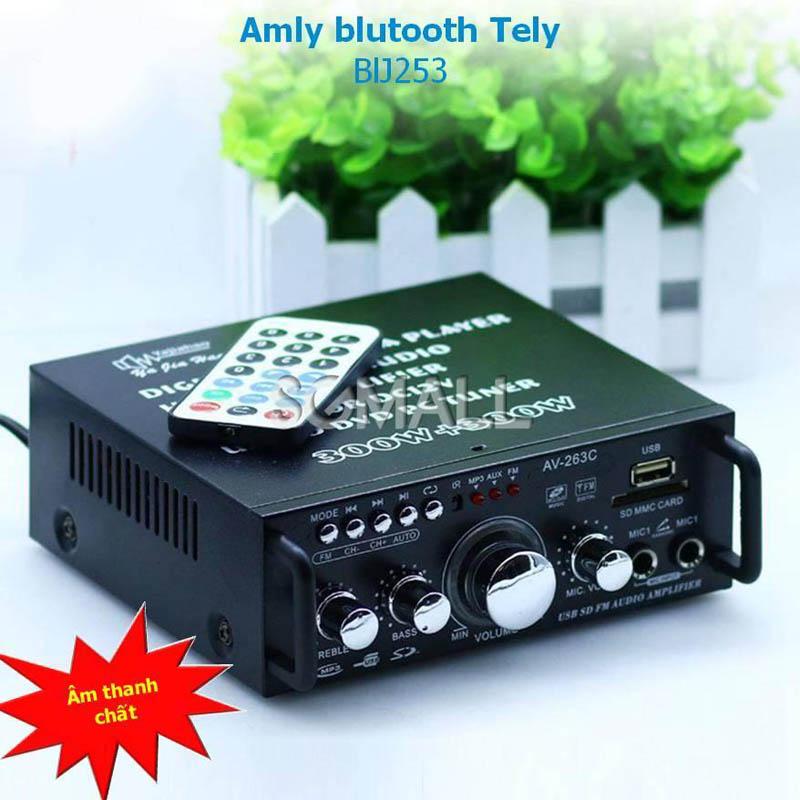 Amply Karaoke Bluetooth Mini Tely BIJ253