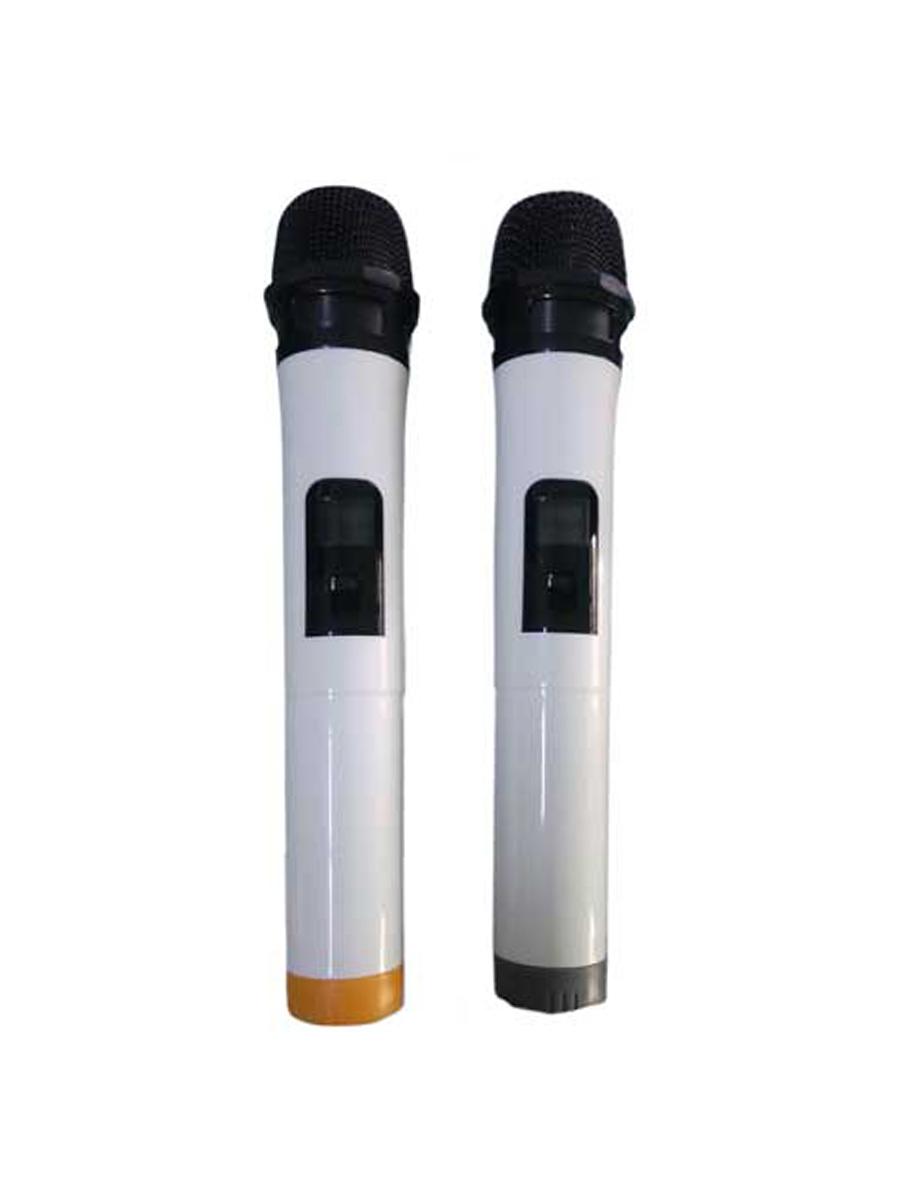 Loa karaoke di dộng Ronamax D15