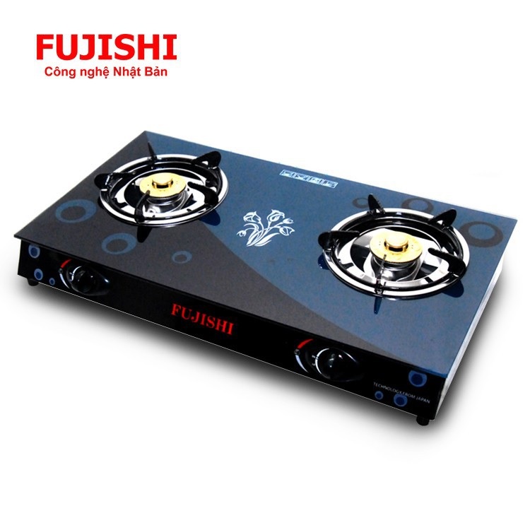 Bếp gas Fujishi FM-H10-D