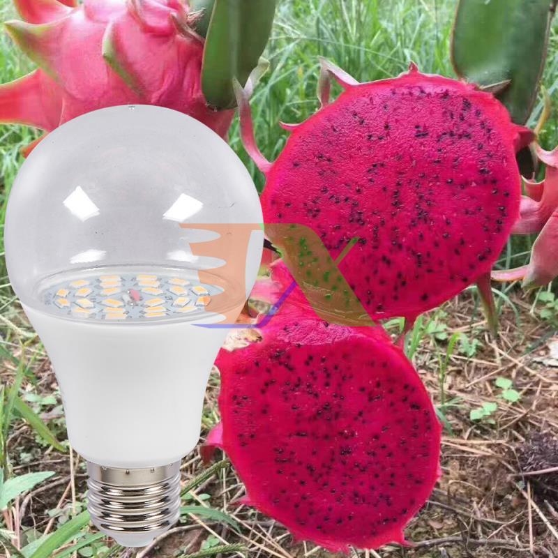 ĐÈN TRỒNG CÂY THANH LONG DRG-15W