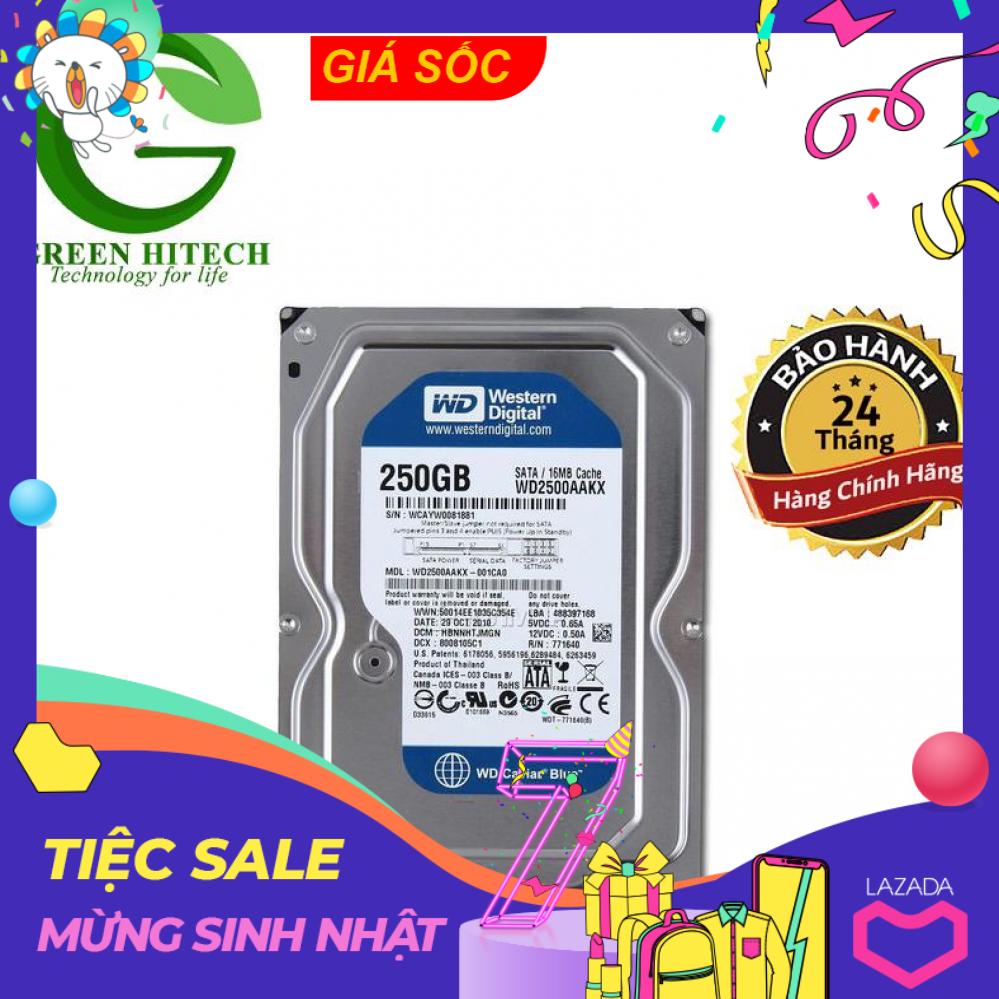 Ổ cứng HDD Western Digital 250GB Caviar Blue