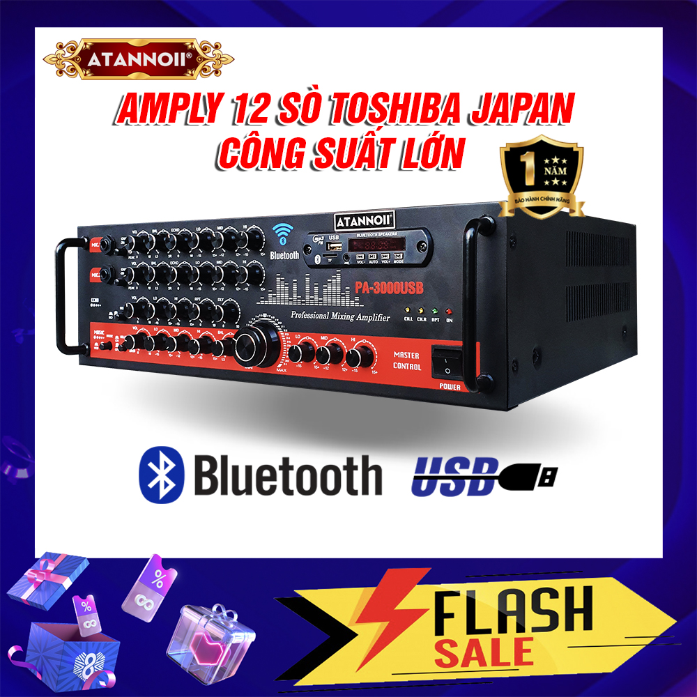 Ampli Bluetooth Karaoke ATANNOII PA-3000USB